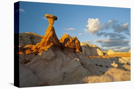 Toadstool Near Kanab, Utah and Page Arizona. Grand Staircase-Escalante-Howie Garber-Premier Image Canvas