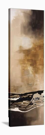 Tobacco and Chocolate III-Laurie Maitland-Stretched Canvas