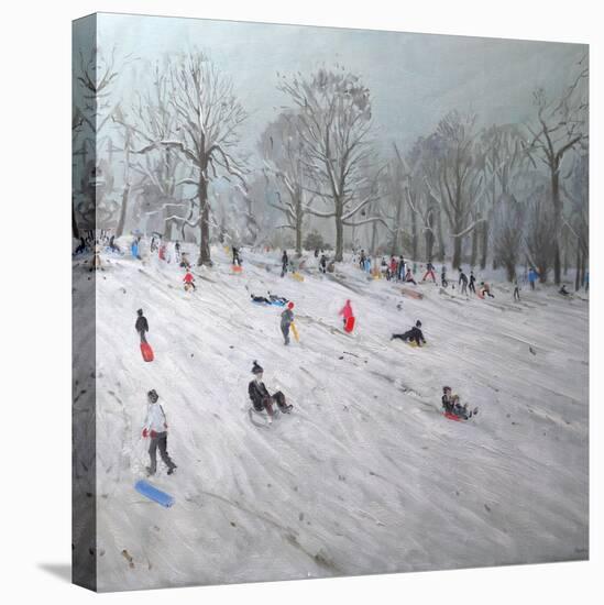 Tobogganers, Darley Park, 2009-Andrew Macara-Premier Image Canvas