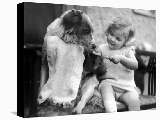 Toddler Trying to Brush Dog's Teeth-null-Premier Image Canvas