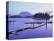 Tofino, Vancouver Island, British Columbia (B.C.), Canada, North America-Rob Cousins-Premier Image Canvas