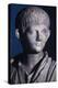 Togate Statue of the Young Nero, Front View of the Head, C.50 Ad (Marble) (Detail of 140378)-Roman-Premier Image Canvas