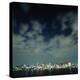 Tokyo Skyline at Night-Micha Pawlitzki-Premier Image Canvas