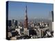 Tokyo Tower, City Skyline and Mount Fuji Beyond, Tokyo, Japan, Asia-Olivier Goujon-Premier Image Canvas