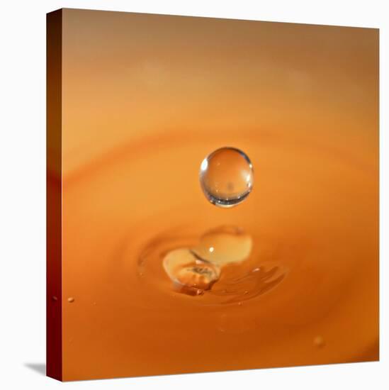 Tomato Soup Drop I-Tammy Putman-Premier Image Canvas