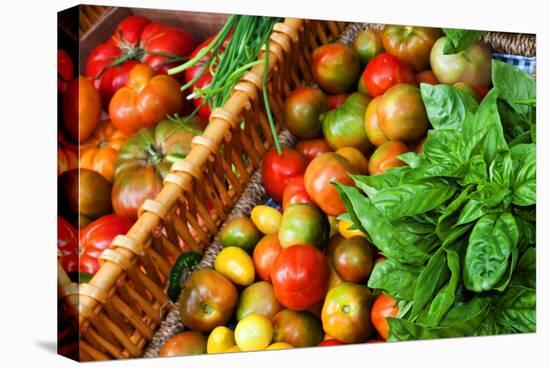 Tomatoes and Basil at Farmers' Market, Savannah, Georgia, USA-Joanne Wells-Premier Image Canvas