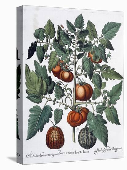 Tomatoes and melons, 1613-Unknown-Premier Image Canvas