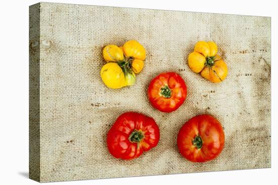 Tomatoes From Farm On Central Maine Coast-Justin Bailie-Premier Image Canvas