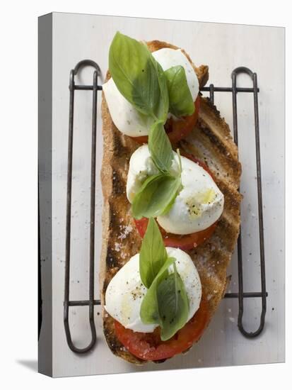 Tomatoes, Mozzarella and Basil on Toasted Bread-null-Premier Image Canvas