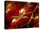 Tomatoes on the Vine-Steve Lupton-Premier Image Canvas