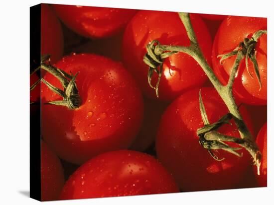 Tomatoes on Vine-Mitch Diamond-Premier Image Canvas