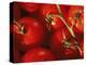 Tomatoes on Vine-Mitch Diamond-Premier Image Canvas