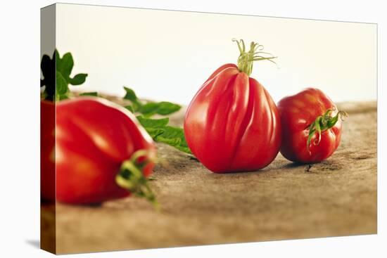 Tomatoes, Variety 'Ochsenherz', Still Life-Axel Killian-Premier Image Canvas