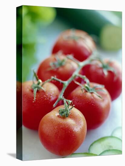 Tomatoes-David Munns-Premier Image Canvas