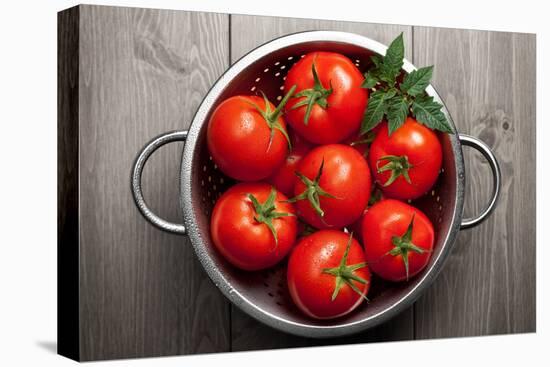 Tomatoes-Bozena_Fulawka-Premier Image Canvas