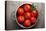 Tomatoes-Bozena_Fulawka-Premier Image Canvas