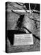 Tombstone of Bonnie Parker-Carl Mydans-Premier Image Canvas
