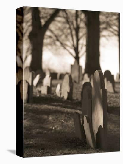 Tombstones in cemetery-Rudy Sulgan-Premier Image Canvas