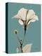 Tonal Hibiscus on Blue-Albert Koetsier-Stretched Canvas