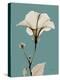 Tonal Hibiscus on Blue-Albert Koetsier-Stretched Canvas