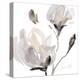 Tonal Magnolias I-Lanie Loreth-Stretched Canvas