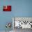 Tonga Flag-joystd77-Premier Image Canvas displayed on a wall