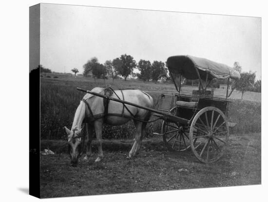 Tonga (Horse Car), Muttra, India, 1917-null-Premier Image Canvas