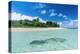 Tonga, South Pacific-Michael Runkel-Premier Image Canvas