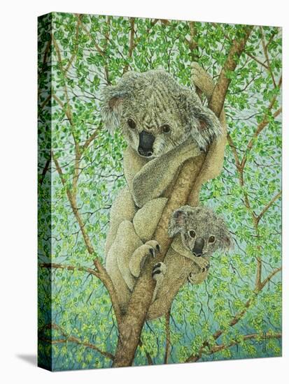 Top of the Tree-Pat Scott-Premier Image Canvas