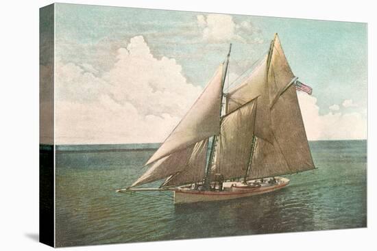 Top-Sail Schooner-null-Stretched Canvas