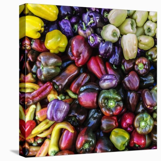 Top View Close Up Of A Colorful Selection Of Bell Peppers At A Farmers Market In Sonoma County-Ron Koeberer-Stretched Canvas