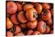 Top View Close Up Of Freshly Picked Persimmons In Sonoma County-Ron Koeberer-Premier Image Canvas