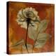 Topaze Opus Rose-Albert Koetsier-Stretched Canvas