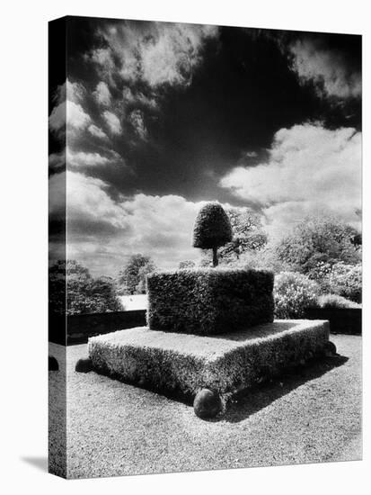 Topiary at Arley Hall, Cheshire, England-Simon Marsden-Premier Image Canvas