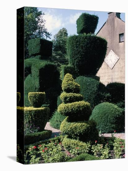 Topiary, Levens Hall, Cumbria, England, United Kingdom-Adam Woolfitt-Premier Image Canvas