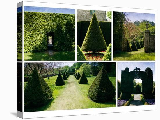 Topiary-Pete Kelly-Stretched Canvas