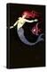 Topless Mermaid with Angel Fish-null-Stretched Canvas