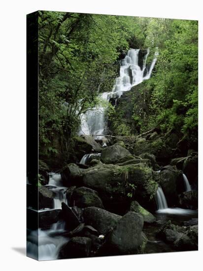 Torc Waterfall, Killarney, County Kerry, Munster, Eire (Republic of Ireland)-Roy Rainford-Premier Image Canvas