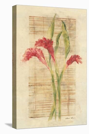 Torch Ginger-Cheri Blum-Stretched Canvas