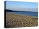 Torcross Village, Slapton Ley Sands, South Hams, Devon, England, United Kingdom, Europe-David Hughes-Premier Image Canvas