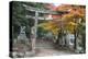 Torii Gate and Steps of Daisho-In Temple in Autumn, Miyajima Island, Western Honshu, Japan-Stuart Black-Premier Image Canvas