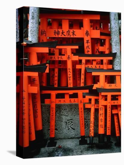 Torii Gates at Fushimi Inari Shrine, Japan, Kyoto-Murat Taner-Premier Image Canvas