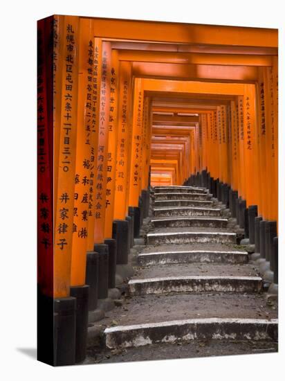 Torii Gates, Fushimi Inari Taisha Shrine, Kyoto, Honshu, Japan-Gavin Hellier-Premier Image Canvas