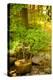 Torii Mor's Asian-Inspired Tasting Room Is Immediately Adjacent to Serene Japanese Garden-Richard Duval-Premier Image Canvas