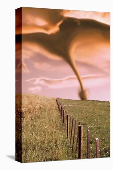 Tornado On Field-null-Stretched Canvas