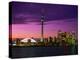 Toronto Skyline at Night, Canada-Jim Schwabel-Premier Image Canvas