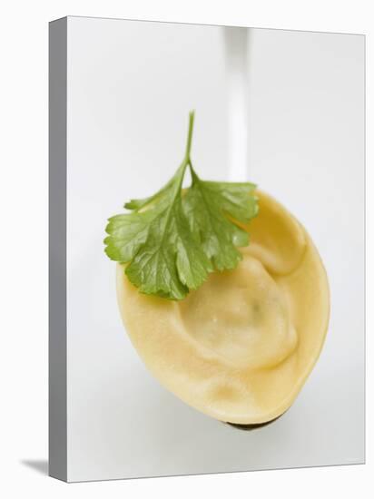 Tortellino with Parsley on Spoon-null-Premier Image Canvas