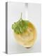 Tortellino with Parsley on Spoon-null-Premier Image Canvas