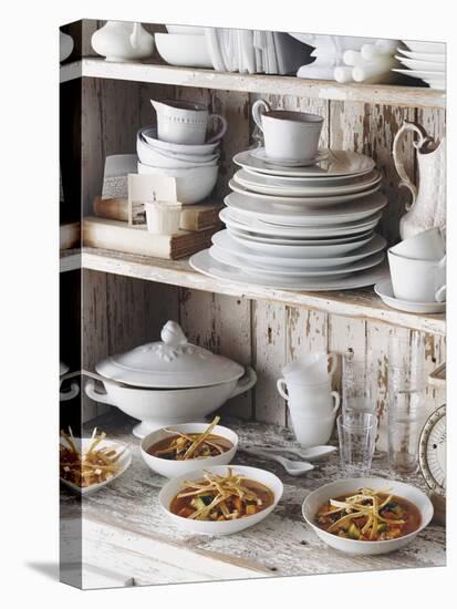 Tortilla Soup with Courgette, Tomatoes and Avocado on a Kitchen Dresser - Conde Nast Collection-null-Premier Image Canvas