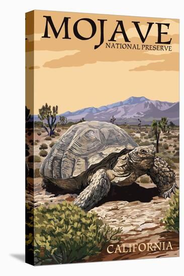 Tortoise - Mojave National Preserve, California-Lantern Press-Stretched Canvas